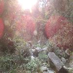 ��̬�ƽ�԰��